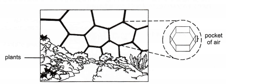 Cross-section of a greenhouse roof showing hexagonal pockets of air above the plants