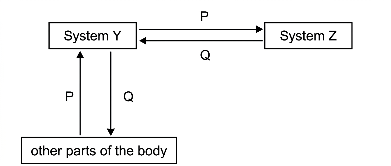Diagram showing System Y sending substance P to System Z and receiving substance Q back, while other parts of the body send P to System Y and receive Q from it.